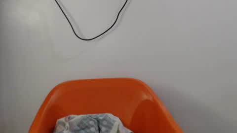 hornyxbum online show from 07/14/26, 10:21