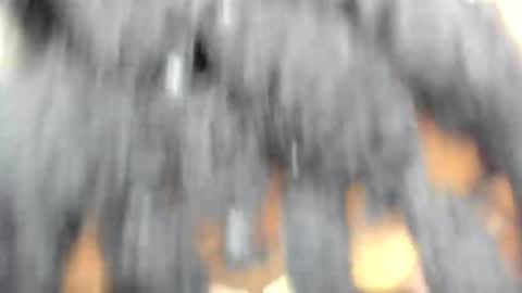 hot_moxie online show from 11/15/25, 04:43