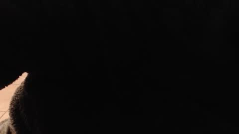 hotboxbbyz online show from 12/22/25, 10:18