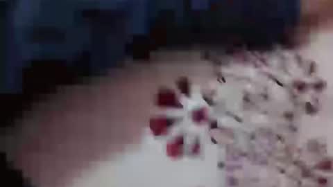 Hotcapolx online show from 11/23/25, 04:51