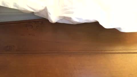 hotmuff99 online show from 02/11/25, 08:58