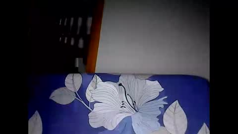 Snapshot of hottie_asianbabe chatting on 02/11/25, 12:17 Leen online show from 02/11/25, 12:17