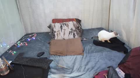 hottiedanicatrans69 online show from 05/18/26, 08:58