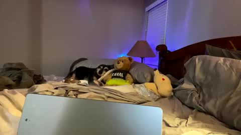 hottiewithabody101 online show from 05/26/26, 01:34