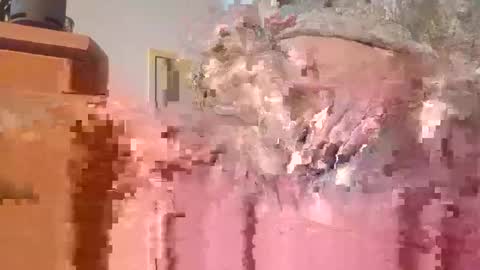 hottinrh2 online show from 05/03/26, 07:53