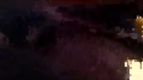 houndmefromhell online show from 12/25/24, 11:10