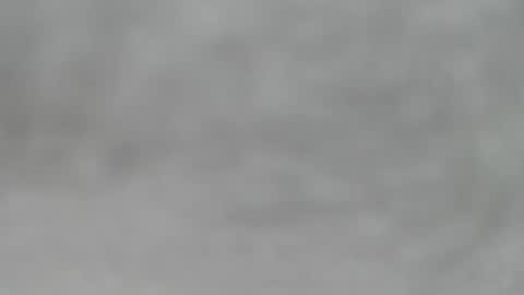 Slutty little female cat online show from 05/02/26, 04:50