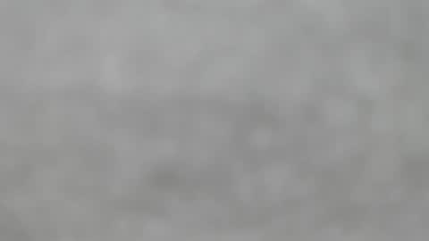 Slutty little female cat online show from 05/24/26, 12:15