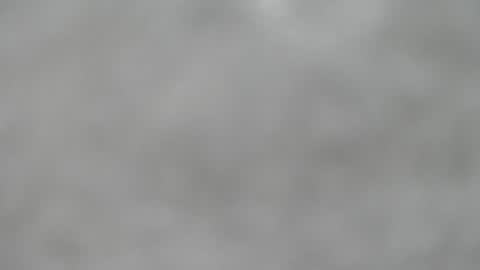 Slutty little female cat online show from 06/13/26, 08:12