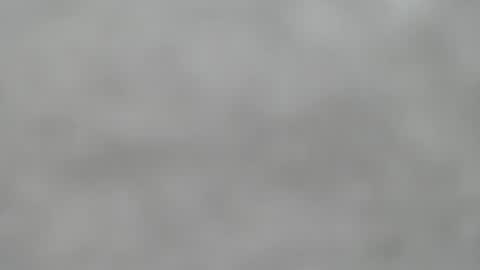 Slutty little female cat online show from 07/19/26, 07:23