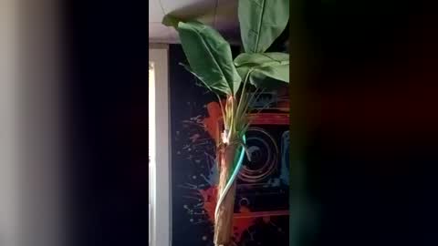 SeanPatrick online show from 07/11/26, 06:43