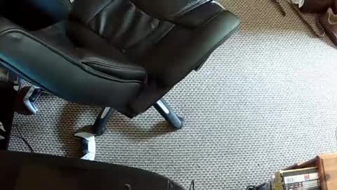 hrnysteve online show from 08/02/26, 01:09