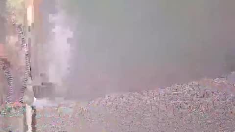 Bella Fox online show from 11/02/25, 03:42