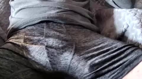 Snapshot of hugepecker131 chatting on 12/18/25, 01:17 hugepecker131 online show from 12/18/25, 01:17