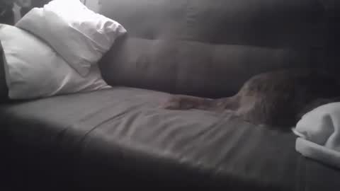 huguit026 online show from 02/04/25, 11:27