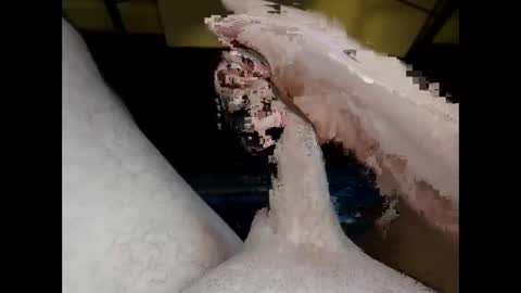 hung_mac0 online show from 05/20/26, 02:01