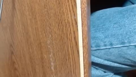 Snapshot of hungsofine chatting on 01/08/25, 06:52 hungsofine online show from 01/08/25, 06:52