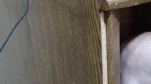 Snapshot of hungsofine chatting on 02/16/25, 10:10 hungsofine online show from 02/16/25, 10:10