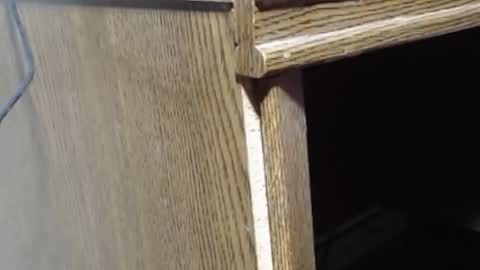 Snapshot of hungsofine chatting on 02/19/25, 06:54 hungsofine online show from 02/19/25, 06:54