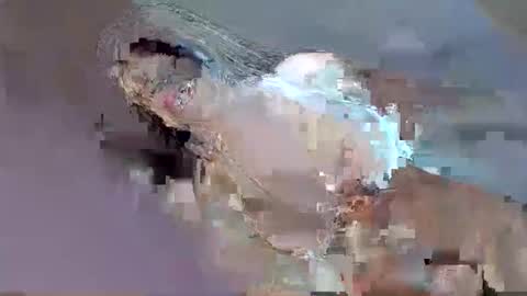 cant get you out of my head online show from 09/12/25, 12:33