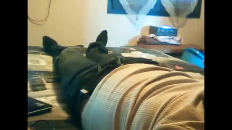 Snapshot of iagreeto chatting on 02/03/25, 01:30 iagreeto online show from 02/03/25, 01:30