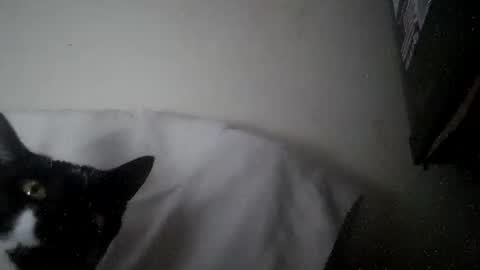 Snapshot of iamryan995442 chatting on 04/07/26, 05:35 iamryan995442 online show from 04/07/26, 05:35