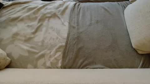 SnowTiger online show from 01/24/25, 11:04