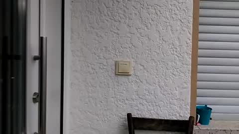 icheinfachich13 online show from 10/21/25, 08:26