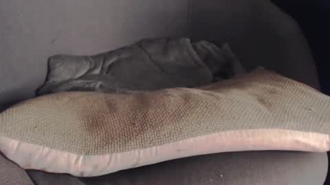 MR Marathon online show from 10/25/25, 05:15