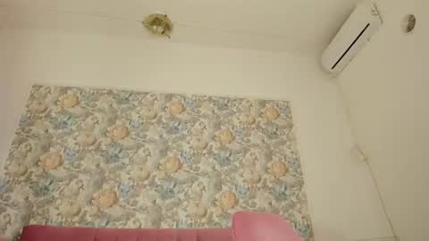 illegal_lorry online show from 07/20/26, 05:22