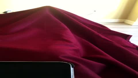 Ninochen online show from 06/15/26, 11:01