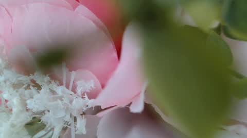 Carrie online show from 02/22/25, 05:24