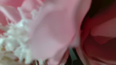 Carrie online show from 02/25/25, 05:25