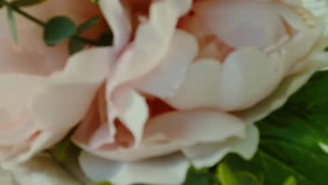 Carrie online show from 03/01/25, 07:15