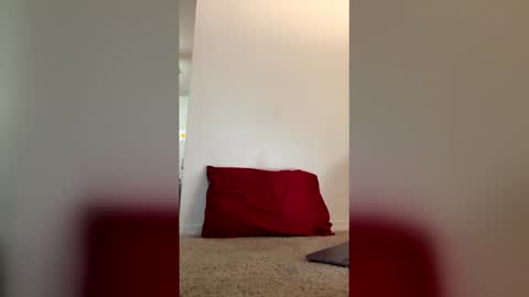 imdirtydan024 online show from 05/29/26, 06:11