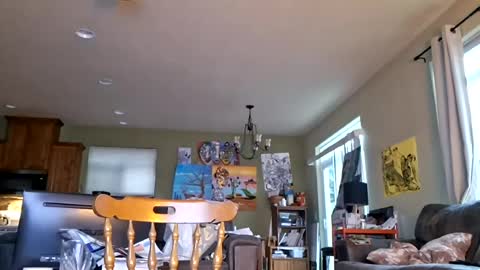 Iminyourroom online show from 07/17/26, 03:35
