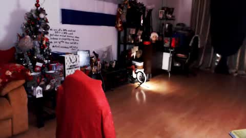Empress online show from 12/21/24, 03:36