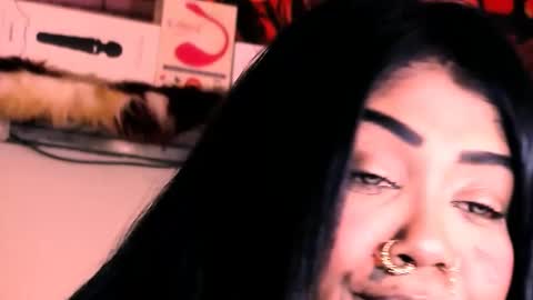 Bella Ambrosia online show from 11/20/25, 02:12