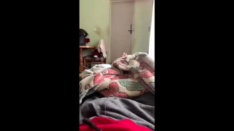 Indianboy online show from 06/02/26, 01:51