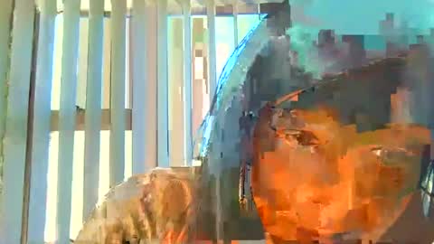 rani online show from 07/06/26, 06:32