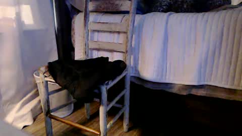 Snapshot of indicasonly chatting on 01/04/25, 01:53 indicasonly online show from 01/04/25, 01:53