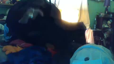 Snapshot of indigo_scorpio chatting on 10/13/25, 10:10 indigo_scorpio online show from 10/13/25, 10:10