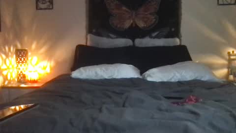 Indigo Bay online show from 02/16/25, 07:26