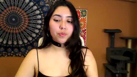 Africa online show from 02/27/25, 06:09