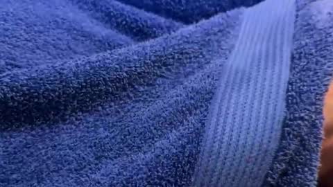 Snapshot of intressiert chatting on 12/30/24, 01:25 intressiert online show from 12/30/24, 01:25