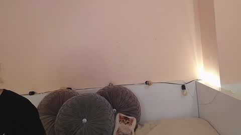 Snapshot of isabella__dark chatting on 12/21/24, 12:42    online show from 12/21/24, 12:42