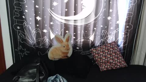 Snapshot of isabella__dark chatting on 01/16/25, 07:31    online show from 01/16/25, 07:31