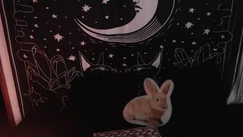 Snapshot of isabella__dark chatting on 01/23/25, 12:14    online show from 01/23/25, 12:14