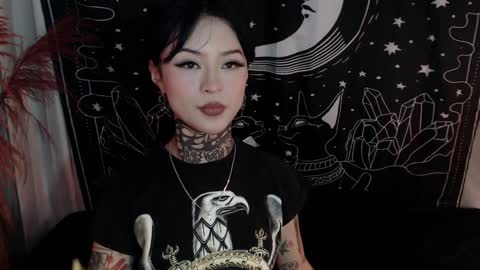 Snapshot of isabella__dark chatting on 01/30/25, 11:24    online show from 01/30/25, 11:24