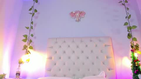   online show from 12/15/24, 08:47